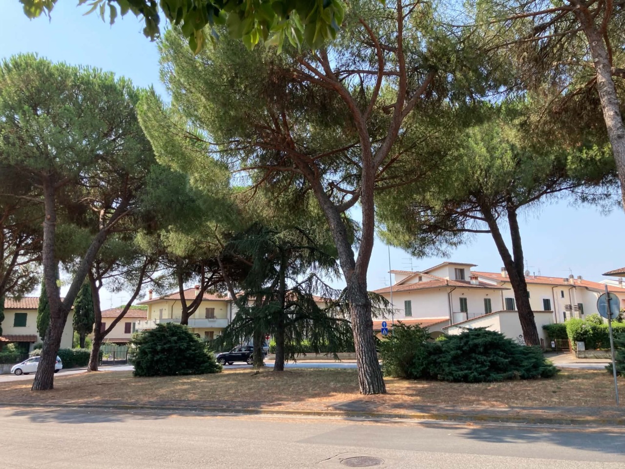 La rotonda di via Aldo Moro si prepara ad avere un nuovo volto