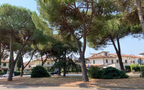 La rotonda di via Aldo Moro si prepara ad avere un nuovo volto