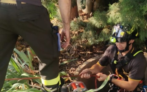Cagnolina caduta in un pozzo, salvata dai vigili del fuoco