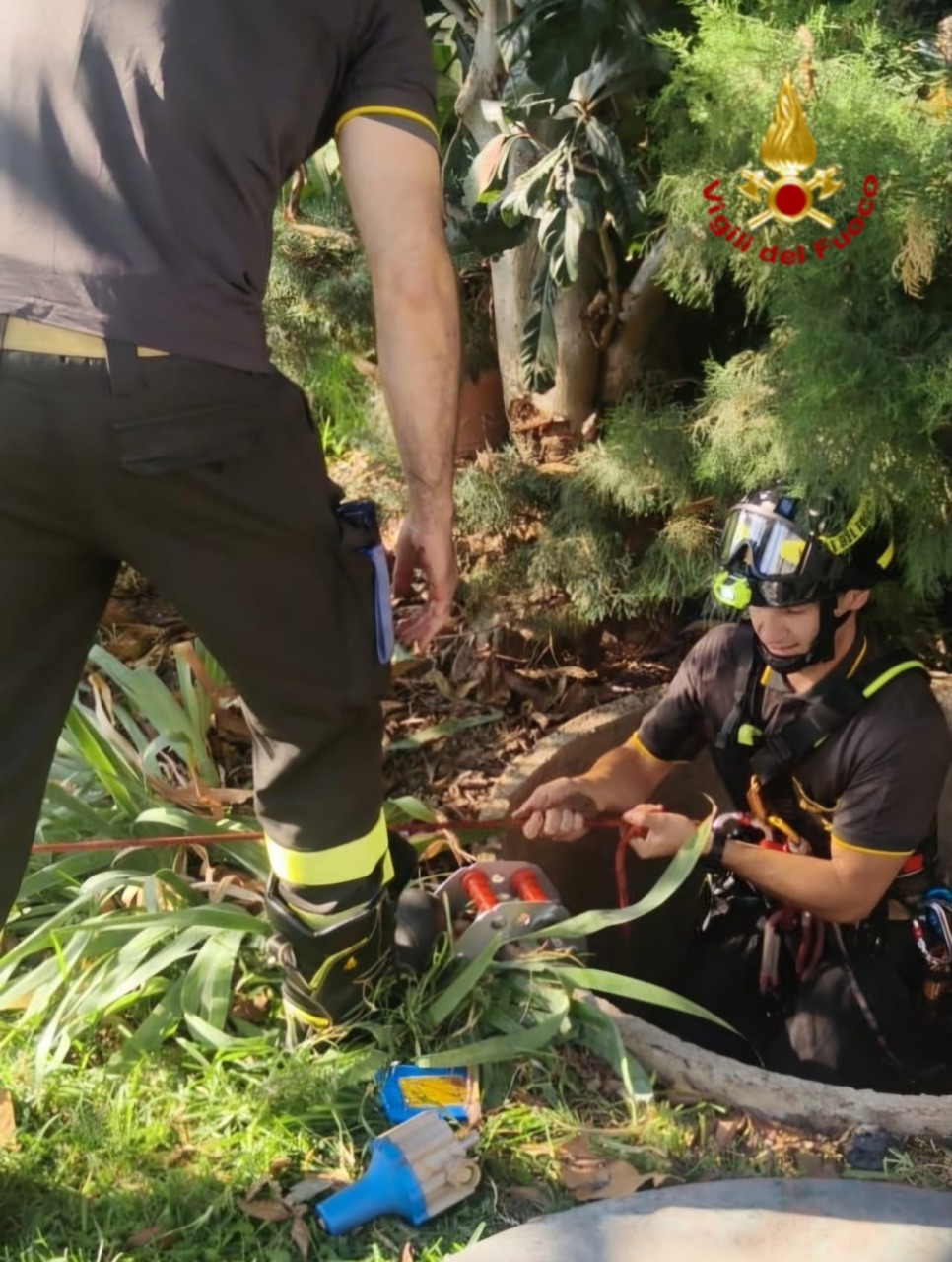 Cagnolina caduta in un pozzo, salvata dai vigili del fuoco