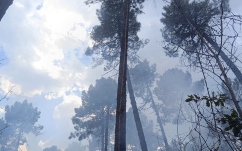 Il punto sugli incendi in corso in Toscana