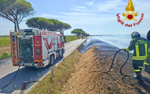 Incendio a Coltano, richiesti i rinforzi