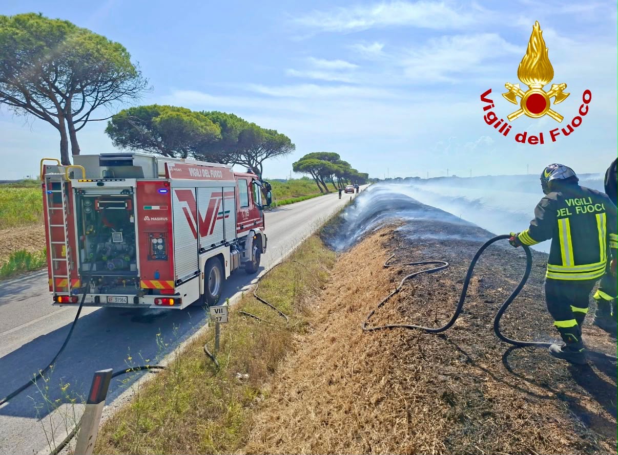 Incendio a Coltano, richiesti i rinforzi