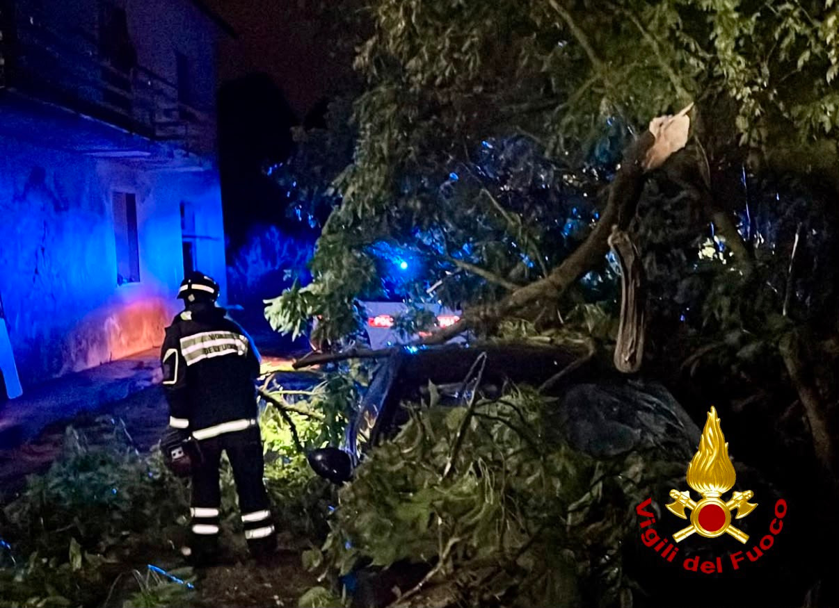 Maltempo, Fi-Pi-Li interrotta per caduta di alberi