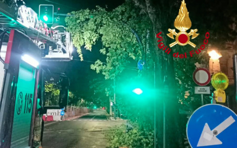 Pioggia e vento, rami sui cavi della tramvia: servizio interrotto