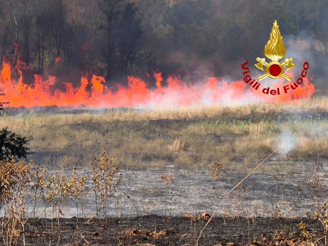 Due poderi minacciati dalle fiamme