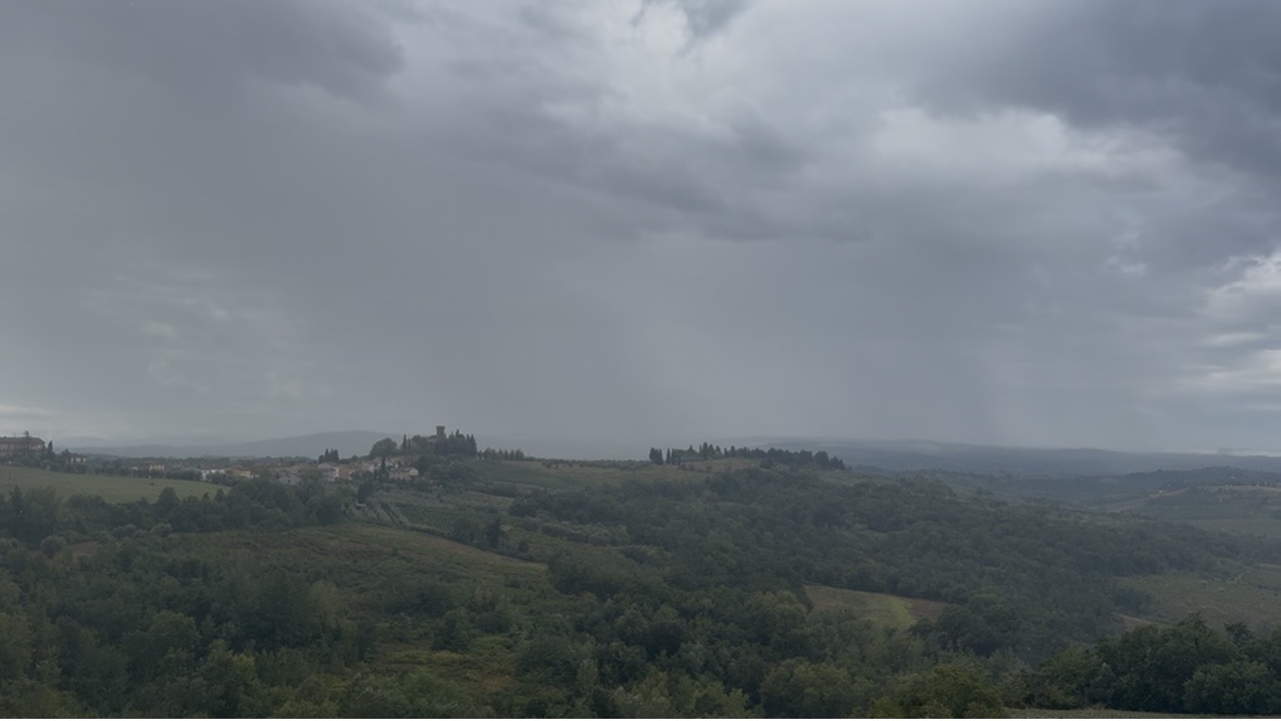 Maltempo in Toscana, notte di temporali: alberi caduti e disagi nel Grossetano