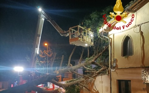 Maltempo, albero caduto su una casa a Montelupo