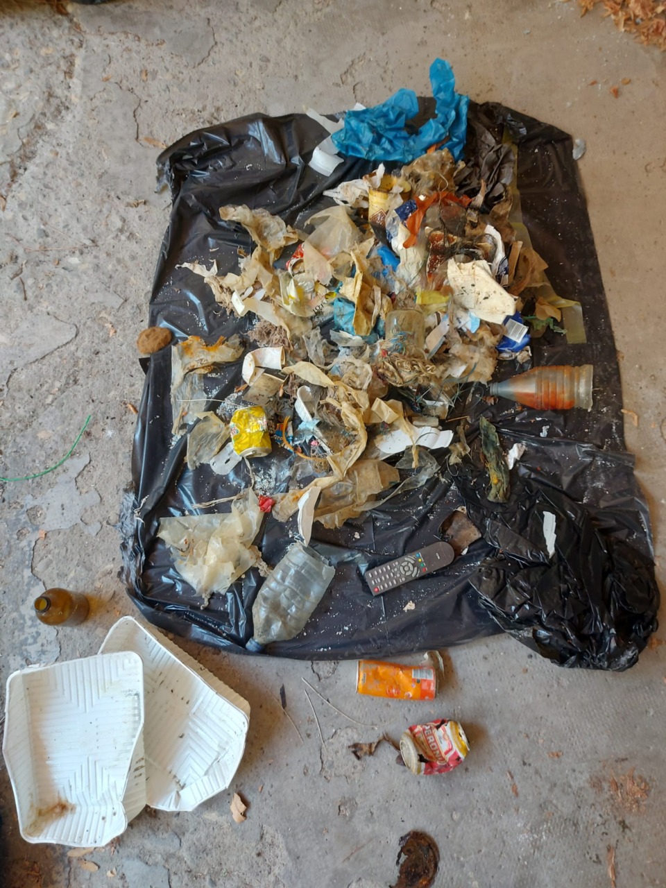 A pesca di rifiuti a Capraia: nella rete un barattolo coreano,  una lattina anni ’80 e un sacchetto per le Lire