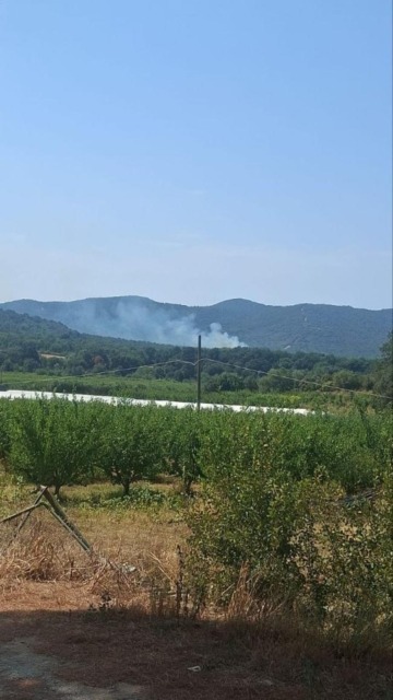 Incendio lungo la strada delle Collacchie