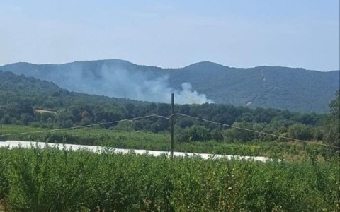 Incendio lungo la strada delle Collacchie