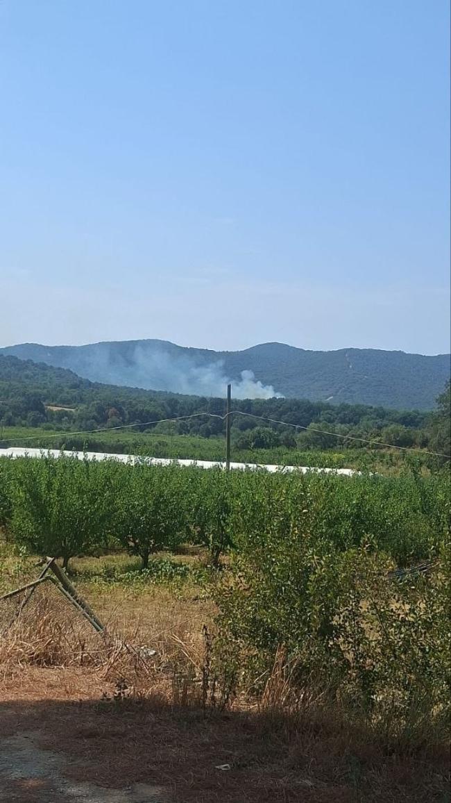 Incendio lungo la strada delle Collacchie
