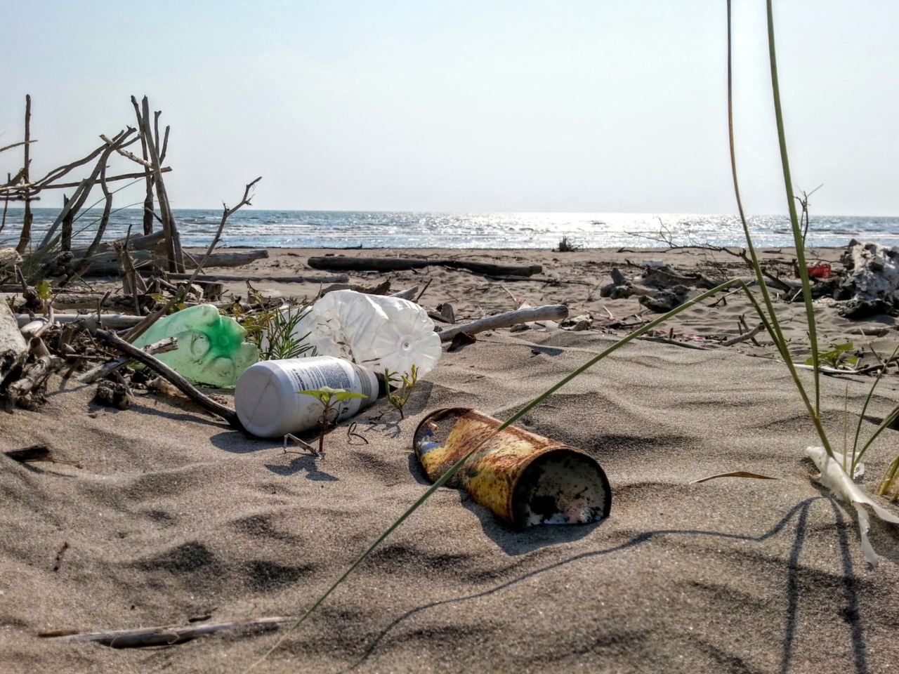 Marina di Carrara, dopo la tempesta la spiaggia ripulita da detriti e rifiuti