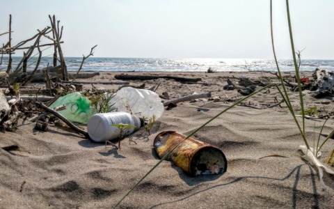 Marina di Carrara, dopo la tempesta la spiaggia ripulita da detriti e rifiuti