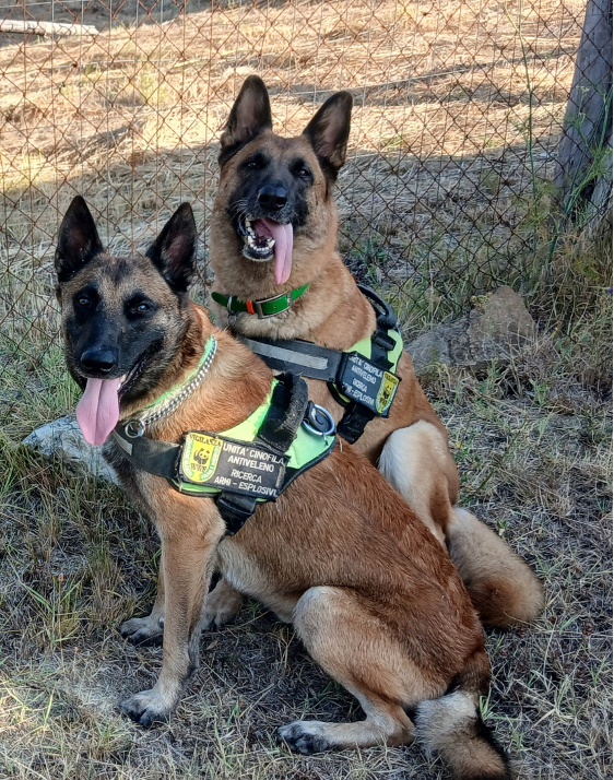 Soso animali, l’estate dei volontari del WWF