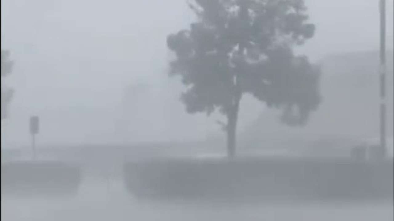Nubifragio nell’Empolese Valdelsa: alberi caduti, danni e allagamenti