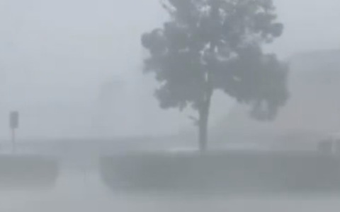Nubifragio nell’Empolese Valdelsa: alberi caduti, danni e allagamenti