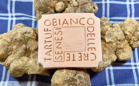 Tartufo delle Crete Senesi: approvato il nuovo disciplinare