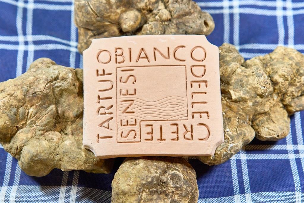 Tartufo delle Crete Senesi: approvato il nuovo disciplinare