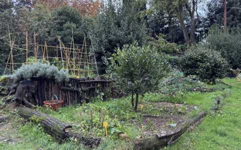 Spazi Verdi Attivi: dalla Fondazione CR Firenze 500 mila euro