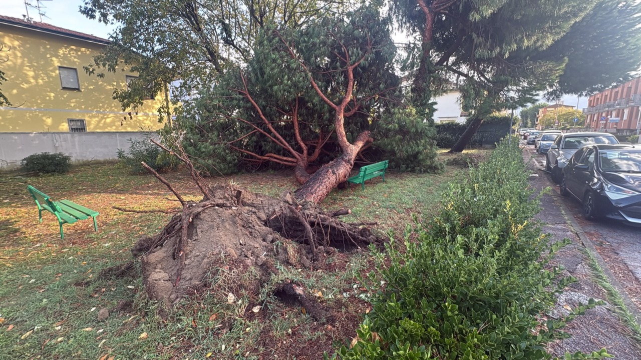 Maltempo, a Viareggio tetti scoperchiati e un asilo nido chiuso