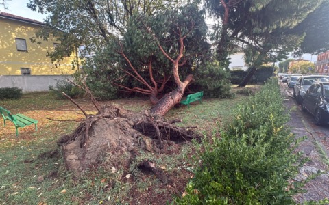 Maltempo, a Viareggio tetti scoperchiati e un asilo nido chiuso