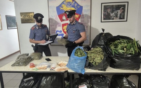 Coltivavano marijuana nel giardino condominiale, coppia arrestata