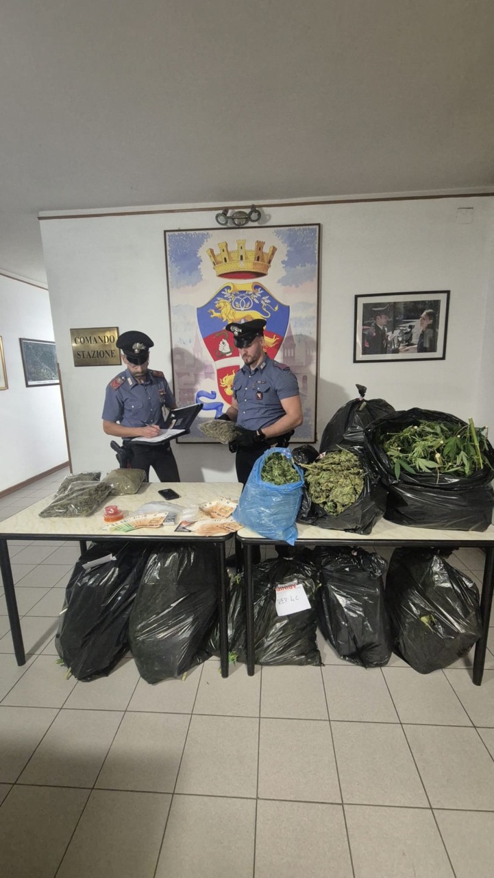 Coltivavano marijuana nel giardino condominiale, coppia arrestata