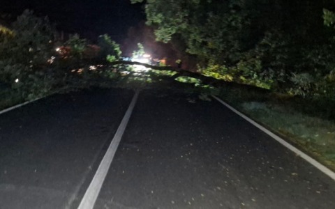 Assalto all’alba nella fabbrica di preziosi: auto incendiate e strade bloccate per tentare il colpo alla Chini