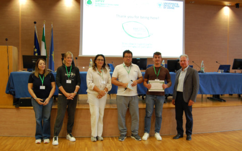 Individuare la peronospora della vite prima dei sintomi, premiata la ricerca pisana