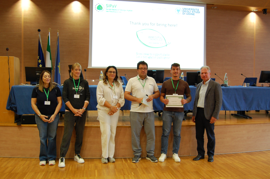 Individuare la peronospora della vite prima dei sintomi, premiata la ricerca pisana