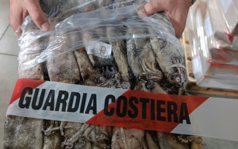 Maxi sequestro di pesce, multa da 50 mila euro a due ristoratori