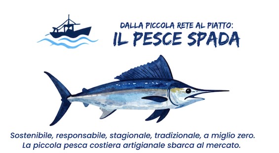 Dalla rete al piatto, tutto sul pesce spada al mercato contadino